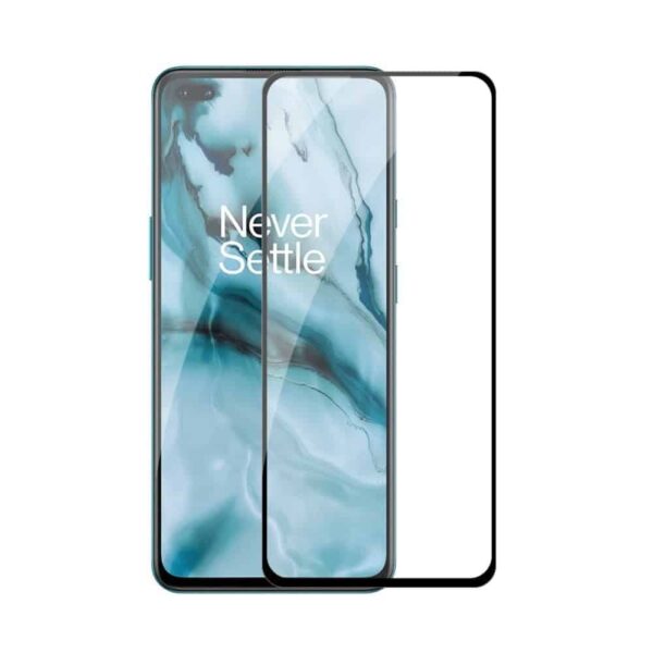 Oneplus Nord Screen Protection