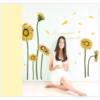 Gule Tusindfryd Dekorativ Wallstickers – 60 X 90 Cm Gule Tusindfryd Dekorativ Wallstickers - 60 X 90 Cm
